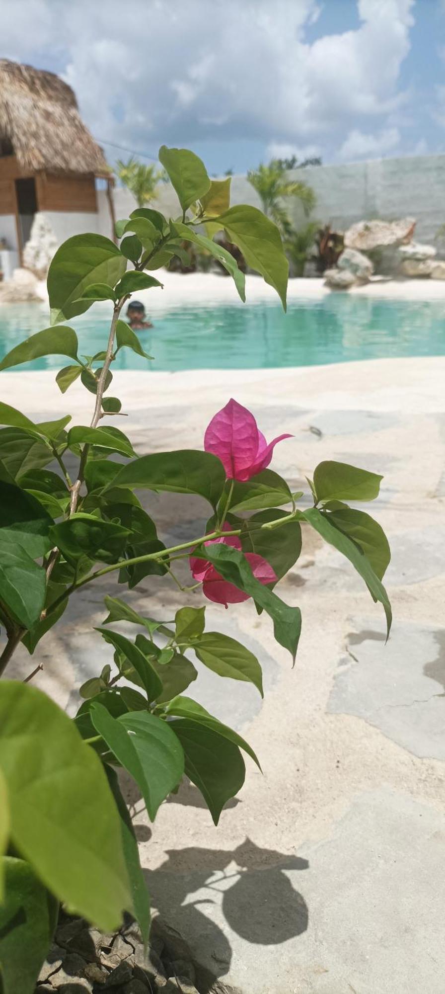 Blue Beach Eco-Hotel By Sanfabini Bayahibe Εξωτερικό φωτογραφία